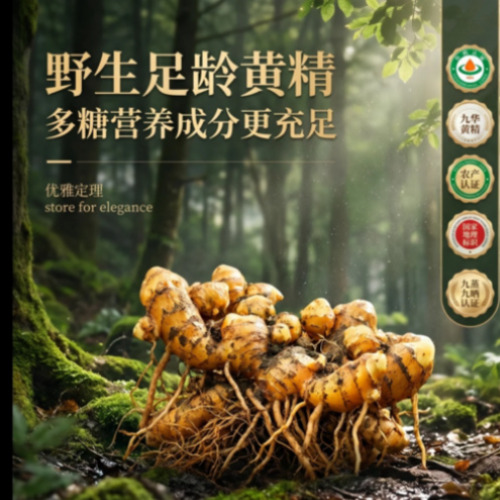 AIGC商业视觉创作案例